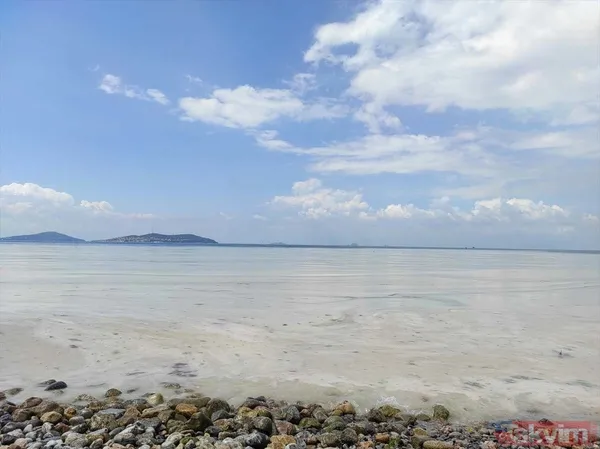 Caddebostan Sahili'nde müsilaj yoğunluğu arttı! Tabloya benzer görüntüler oluştu - 22