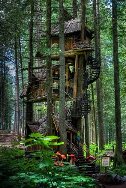 Büyüleyici ağaç evler