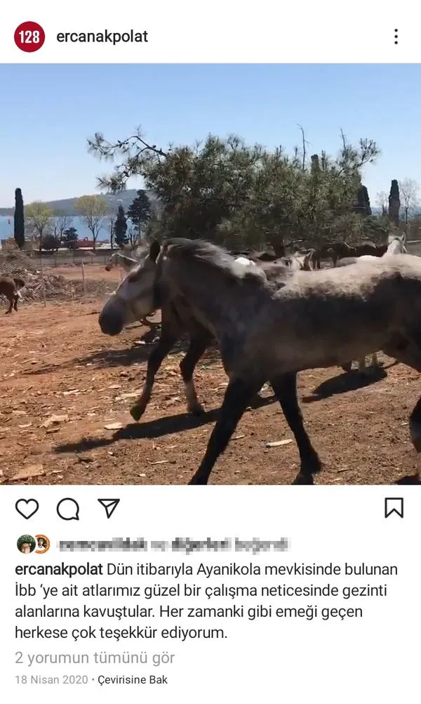 at-skandali-buyuyor-dsp-adalar-ilce-baskani-nail-murat-pekin-acikladi-ibb-bakim-ve-sahiplendirme-islerini-yapmadi-1620664954732.jpg At skandalı büyüyor! DSP'li Nail Murat Pekin açıkladı: İBB’nin işini CHP Adalar İlçe Başkanı Ali Ercan Akpolat yaptı-5