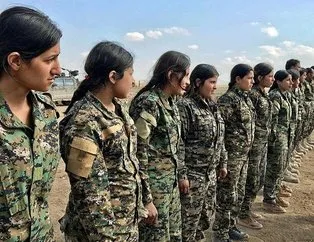 BM’de YPG/PKK skandalı