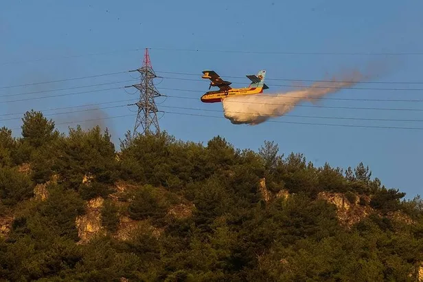 Aydın Söke'de orman yangını kontrol altında!-9