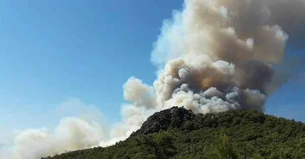 Antalya Kumluca’da korkutan yangın!