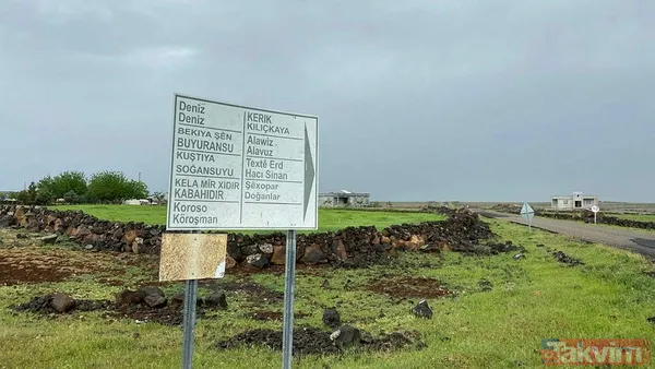 Diyarbakır'da geçtiğimiz gün vahşice katledilen aile ile ilgili korkutucu detaylar! Amaç hepsini katletmek... - 5