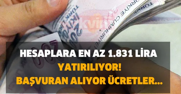 Hesaplara en az 1.831 lira yatırılıyor! Karar verildi! Başvuran alıyor, ücretler...