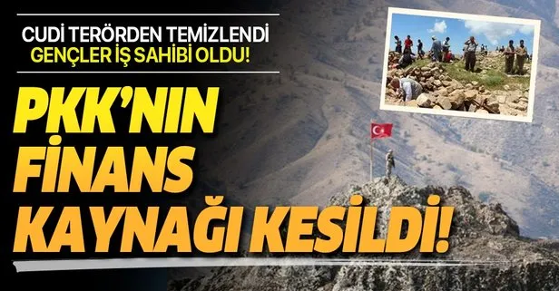PKK’nın Cudi’deki önemli para kaynağı kesildi