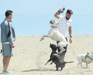 Bibras Natcho bombası