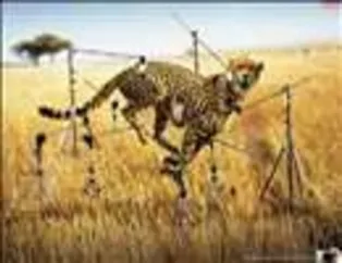 Güldüren reklamlar