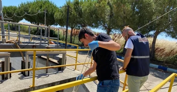 Bakanlıktan Marmara'da müsilaja karşı sıkı takip: 5 tesis kapatıldı, 822.5 milyon lira ceza kesildi