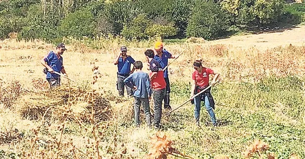 Sedanur seferberliği