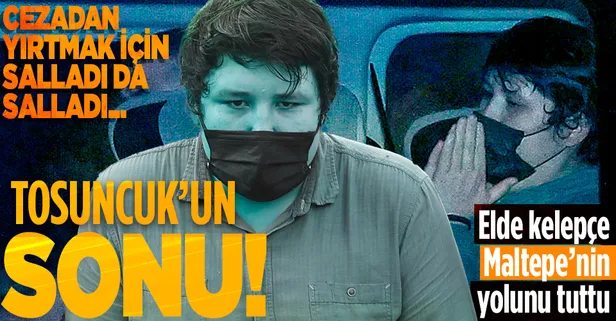 Son dakika: Çiftlik Bank dolandırıcısı 'Tosuncuk' lakaplı Mehmet Aydın tutuklandı!