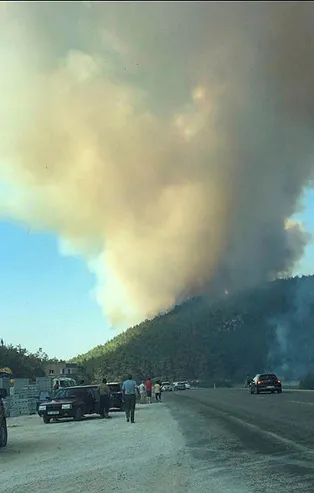Son dakika: İzmir Menderes'te yangın!