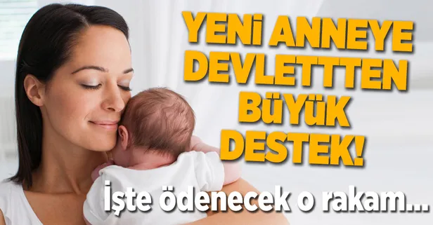 Yeni anneye devletten en az 5050 lira!
