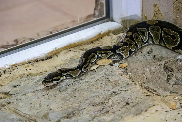 antalyada-bir-ailenin-yok-oldugu-intiharda-tefecinin-kayinvalideye-de-senet-imzalattigi-ortaya-cikti-1602223651708.jpg Antalya'da bir ailenin yok olduğu intiharda tefecinin kayınvalideye de senet imzalattığı ortaya çıktı-2