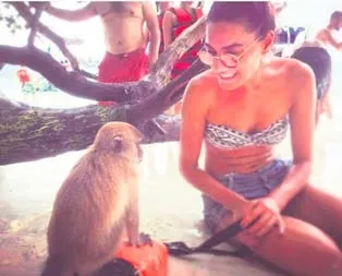 Çantacı maymuna dikkat!