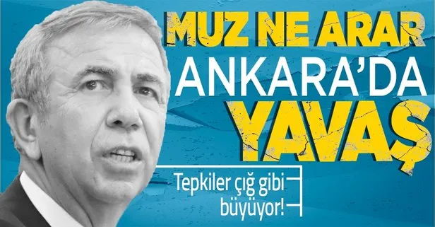 CHP’li Mansur Yavaş’a tepkiler çığ gibi büyüyor: Ankara’da muz hayali yerine gerçek hizmet istiyoruz