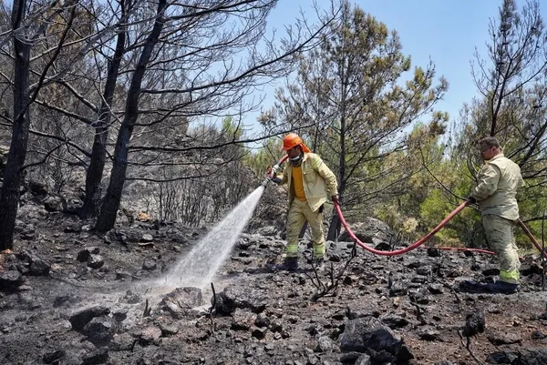 Muğla ve İzmir'de peş peşe orman yangınları! Datça'daki yangın kontrol altında-3