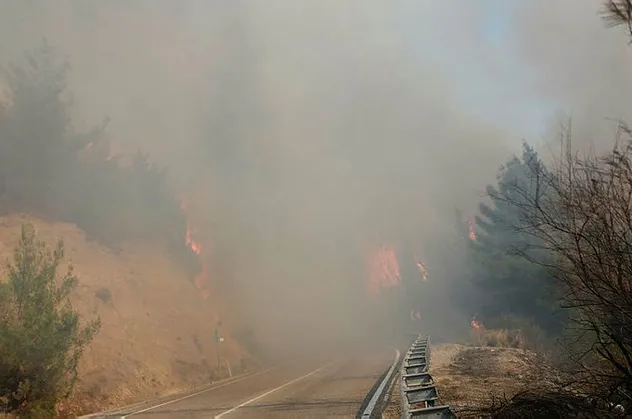 Osmaniye'de orman yangını! Evler boşaltılıyor