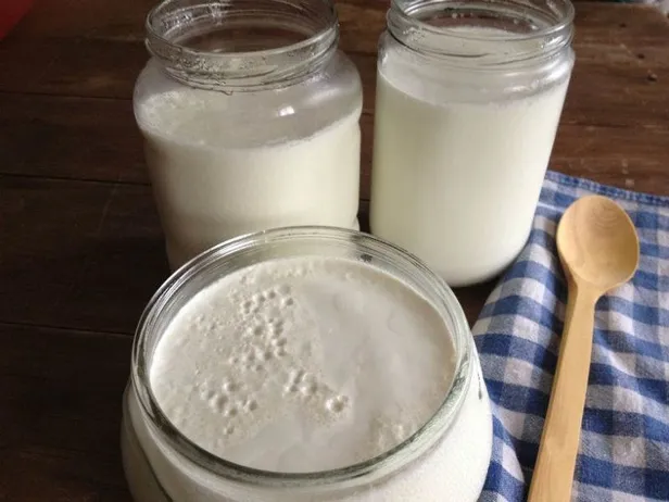 Kanserden korunmak için yoğurt tüketin-1