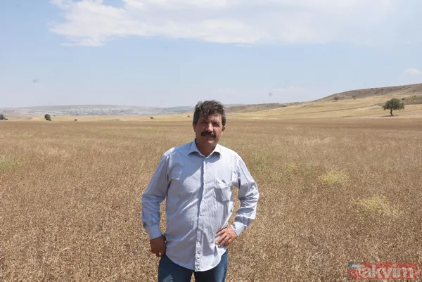 Nadasa bırakacaktı pelemir ekti jet yakıtı üretilecek - 10