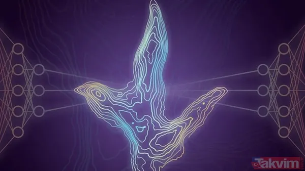 Yapay zeka kuşların evrimini geriye çekti! İlk uçuşun kökeni 60 milyon yıl öncesine ait - 13