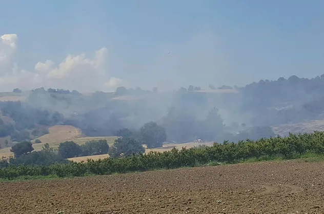 Son dakika: Çanakkale'de orman yangını!