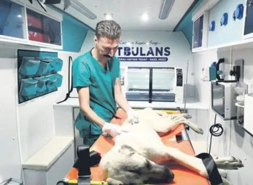 ida-madra-jeoparki-unesco-turkiye-milli-komisyonu-tarafindan-ulusal-jeopark-olarak-ilan-edildi-1675383244701.jpeg İda Madra Jeoparkı, UNESCO Türkiye Milli Komisyonu tarafından “Ulusal jeopark” olarak ilan edildi-2