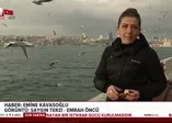Osmanlı'da hayvan hakları ne durumdaydı?