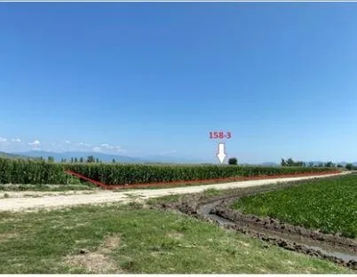 Ziraat Bankası'ndan kelepir ucuz tarlaya yoğun talep başladı! 3.660 TL teminatla satış yapılıyor-5