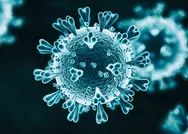 B117 virüsü Türkiyede var mı? Dünyayı alarma geçiren B117 virüsü nedir? B117 belirtileri nelerdir?