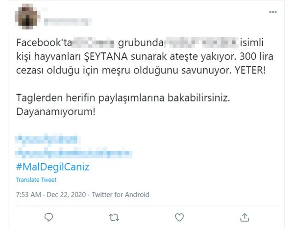 adanada-ormanlik-alanda-bir-tavugun-bogazini-kesip-cinler-alemine-adamak-icin-atese-atan-yynin-goruntuleri-tepki-cekti-1608627376183.jpg Adana'da ormanlık alanda bir tavuğun boğazını kesip cinler alemine adamak için ateşe atan Y.Y.'nin görüntüleri tepki çekti-5