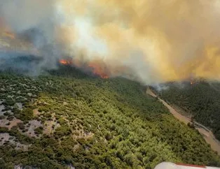 Manisa Akhisar’da orman yangını