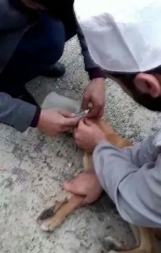 Adana’da kafasına bidon sıkışmış köpeği yoldan geçen imamlar kurtardı
