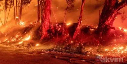 Son dakika... ABD’nin Kaliforniya eyaletindeki yangın hala söndürülemedi
