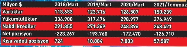 Kısa vadede tarihin en yüksek döviz fazlası: 100 milyar dolarlık açık pozisyon kapandı-6