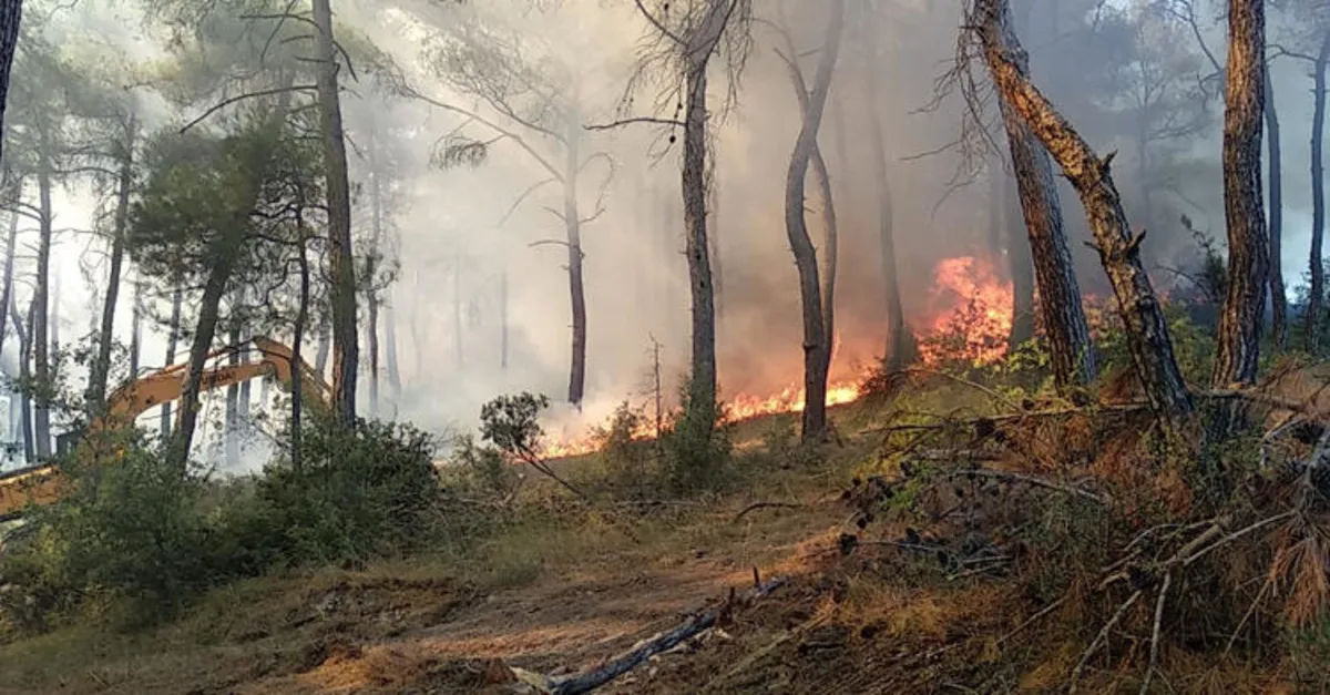 Son dakika: Bursa'da orman yangını (Video)