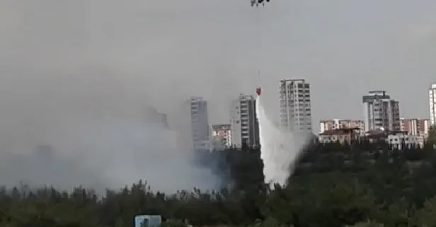 Diyarbakır ve Adana’da korkutan yangınlar: Ekipler tarafından kontrol altına alındı!