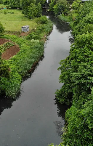 CHP'li Ekrem İmamoğlu yönetimindeki İBB çevre katliamı yapıyor! Riva'ya zehir akıtıyorlar