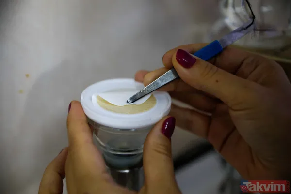 TÜBİTAK gemisi Marmara'ya açıldı! Bilim insanları raporları: Sonuçlar korkutucu - 5