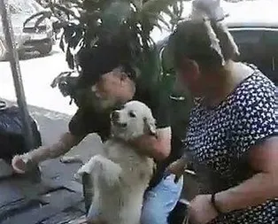 Kayıp köpek sahibini karşısında görünce...