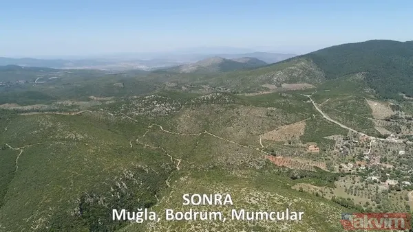 CHP ve yandaşı medyanın yangınlar üzerinden kirli algı oyunu çöktü: 'Otel yapacaklar' dedikleri alanlar tek tek yeşillendirildi - 26