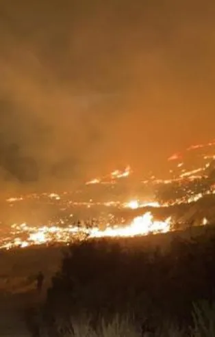 Muğla'daki orman yangını kontrol altına alındı