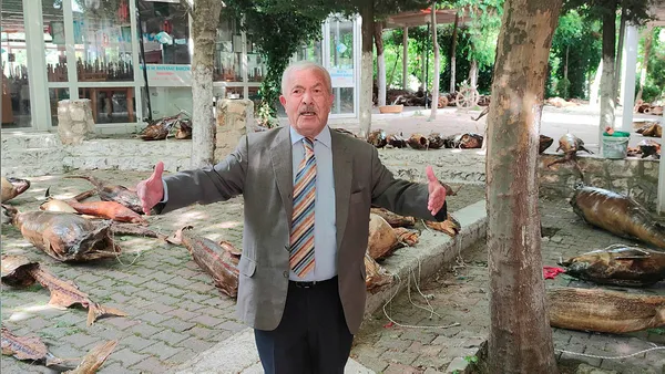 Beylikdüzü'nde katliam var! Türkiye Deniz Canlıları Müzesi'ni yıkan CHP'li belediye bu kez de 160 ağacı söktü!-3