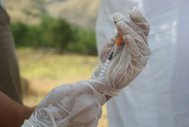 Koronavirüs geçirenler iki doz aşı olabilecek mi? Son dakika gelişmesi-4