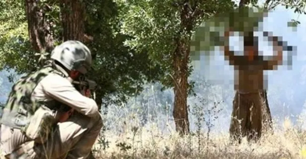 Mardin’de bir PKK’lı terörist teslim oldu