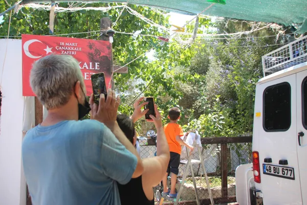 bodrumda-yasli-kadina-sok-uyandiginda-karsisinda-iguana-gordu-1625470766094.jpg Bodrum'da yaşlı kadına şok! Uyandığında karşısında iguana gördü-2