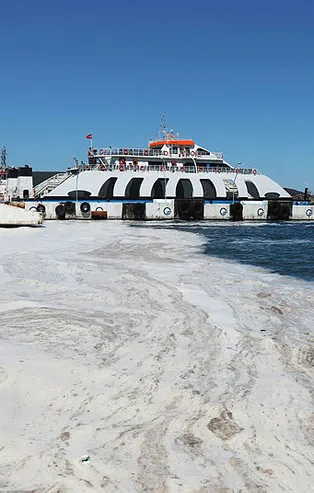 Marmara'daki tehlike müsilajı dalış yaparak gözlemleyen dalgıçtan kan donduran açıklama: Sanki bomba atılmış gibi!