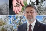 Tarım ve Orman Bakanı İbrahim Yumaklı’dan zirai don açıklaması: Hasar tespitinden sonra paraları hemen verilecek