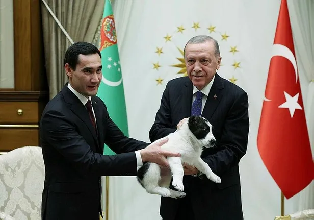 baskan-erdogan-turkmenistan-devlet-baskani-berdimuhammedova-kangal-cinsi-kopek-hediye-etti-1698336730729.jpeg Başkan Erdoğan Türkmenistan Devlet Başkanı Berdimuhammedov'a Kangal cinsi köpek hediye etti-3