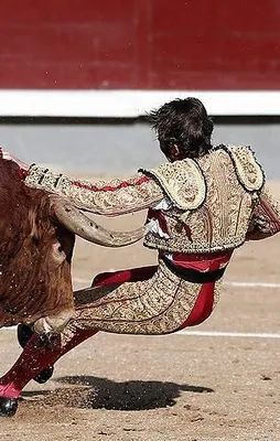 Katalonya'nın boğa güreşi yasağına iptal