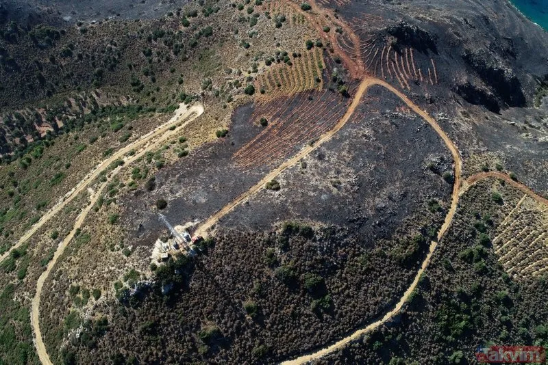 Datça yangın sonrası böyle görüntülendi! 20 hektar makilik 